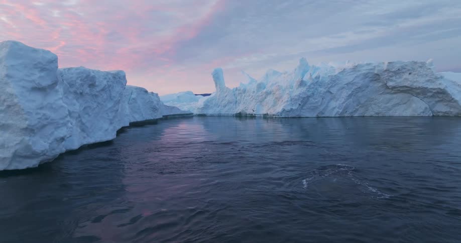 Whales spout then submerge near iceberg as birds fly overhead