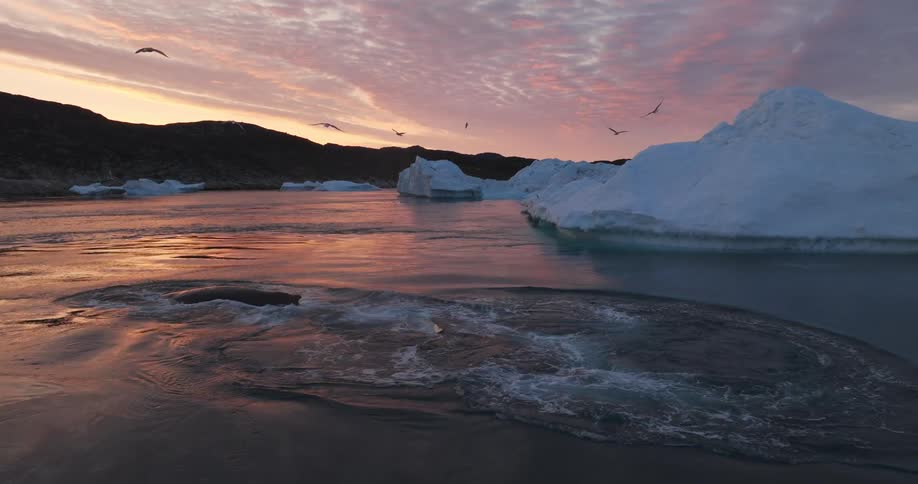 An ocean with some icebergs and a sea animal passing by and several birds flying over