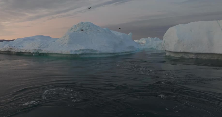A clip of whales swimming the arctic