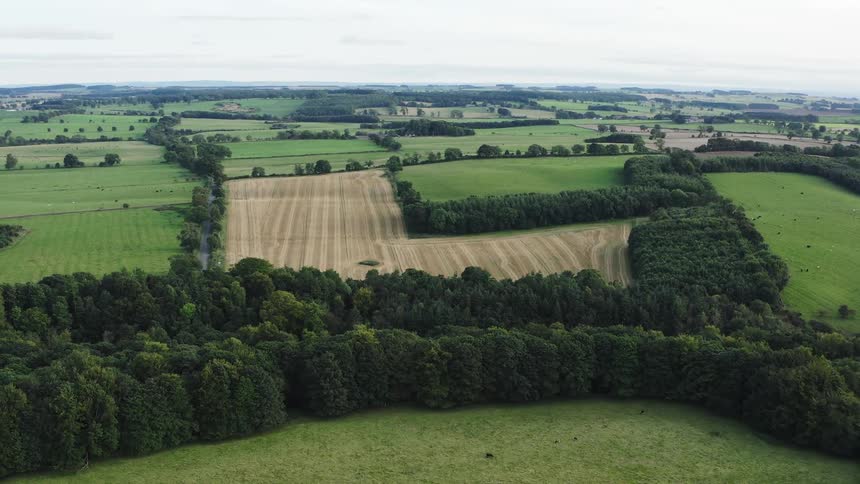 A serene landscape with green fields and forests under a hazy sky