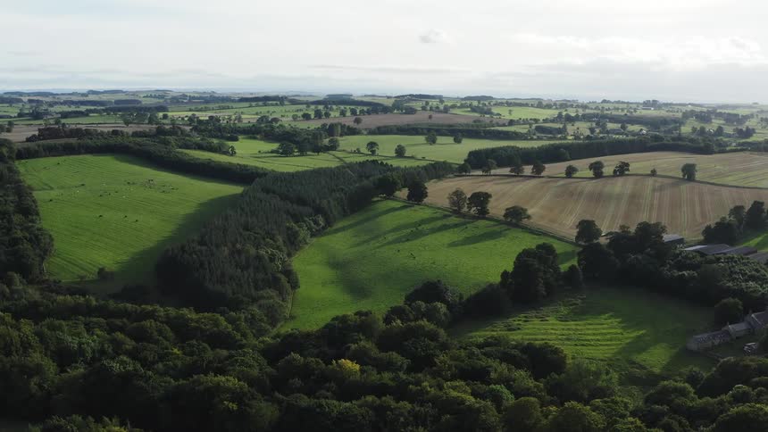 Aerial panorama of a grassland on a morning with rural fields