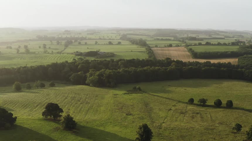 A serene landscape with green fields and forests under a hazy sky