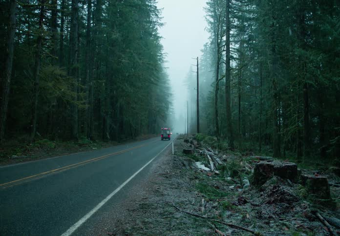 Vehicles ride along highway passing through conifer forest while it snows