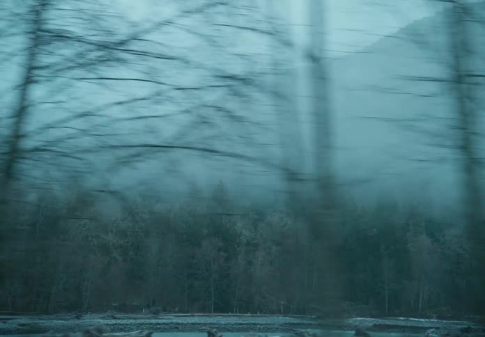 A clip of a forest and a mountain range