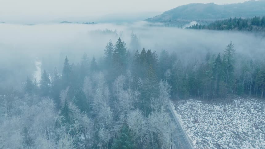 A car drives through the snow filled forest