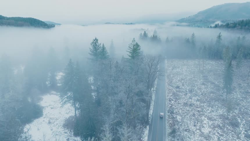 A pickup truck with a camper shell is driving on a road surrounded by dense forest