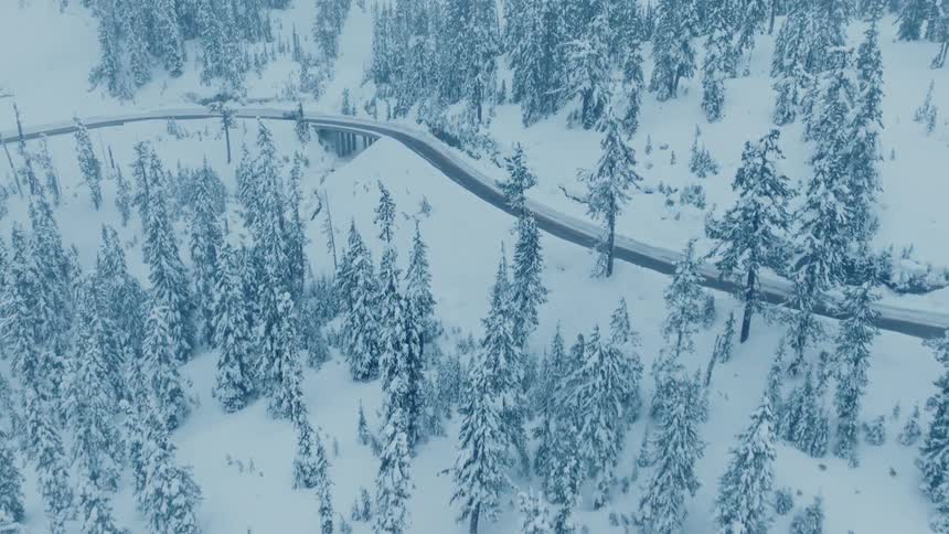 An aerial view of a region with pine trees amid snow and a small road with a truck driving