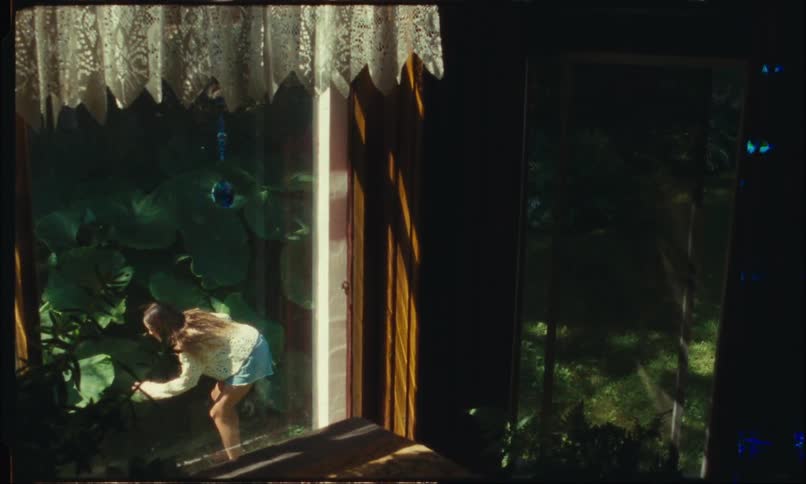 View of a mirrored house with the reflection of a young girl passing by and looking at flowers
