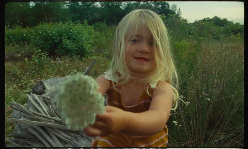 A blonde haired girl playing with a flower in a field