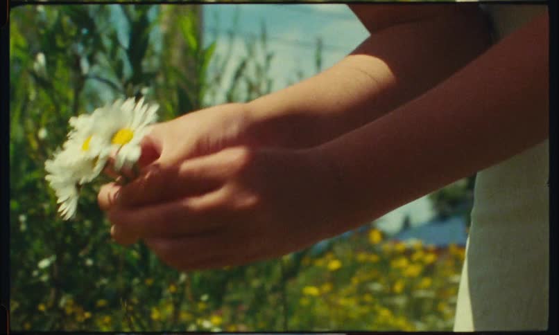 A girl picks some flowers from the field