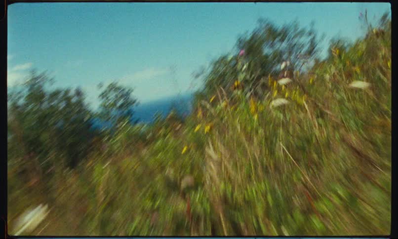 A region with lots of grass and vegetation and in the background there is the sea on the horizon
