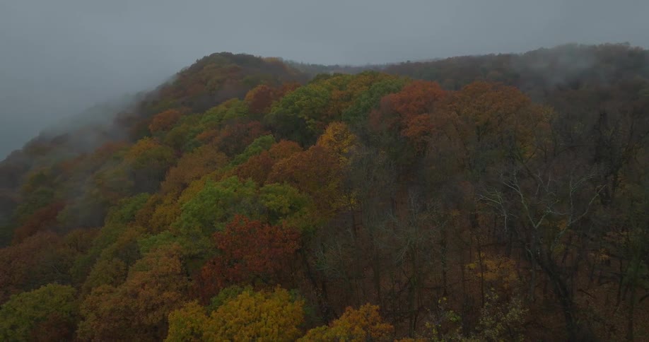 Fog hangs low over a forested mountain with trees in fall colors