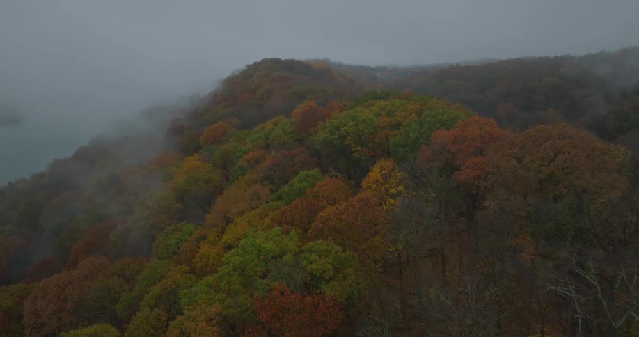 Forested mountains with trees in fall colors under a foggy sky