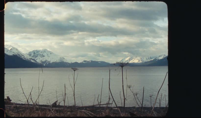 Scenic landscape with a snowcapped mountain and dry grasses in the foreground