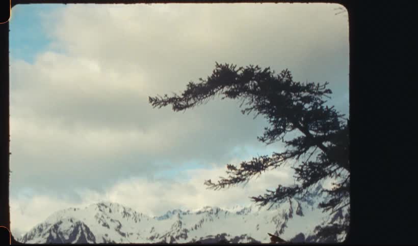 Scenic landscape with a snowcapped mountain and a lake