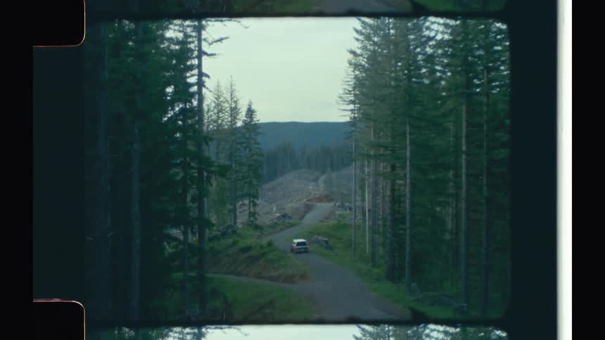 A pickup truck is driving on a road surrounded by dense forest