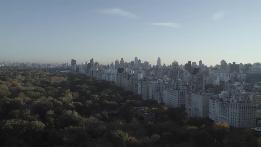 Aerial view of central park on new york city at morning