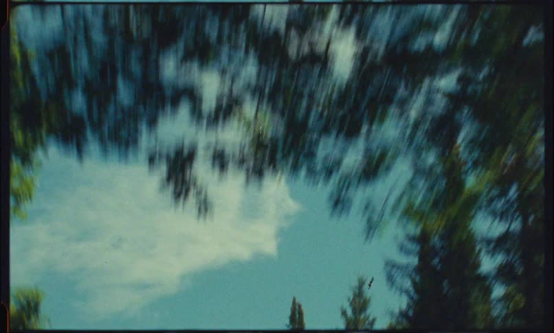 Several trees passing by and a blue sky with some white clouds