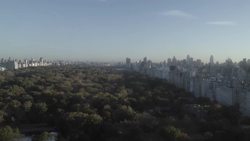 Aerial view of central park in new york at morning