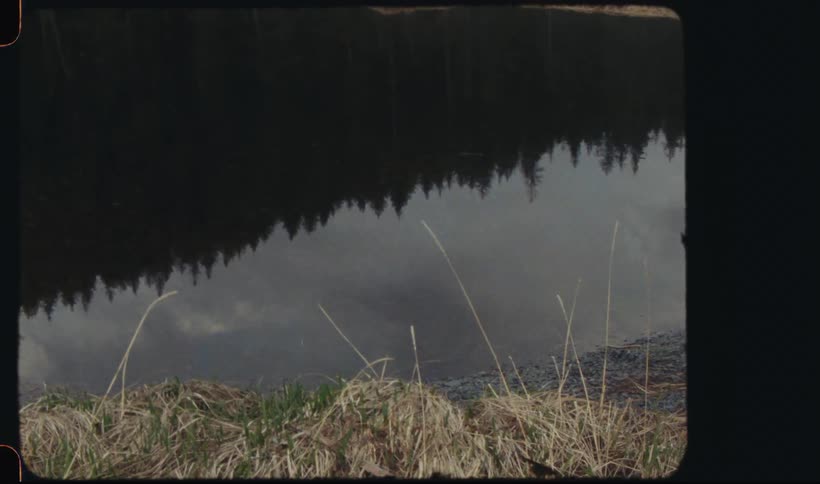 The water of a small lake is reflecting the vegetation of the region