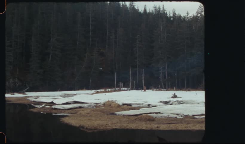 Snow covers field between conifer woods and water during winter