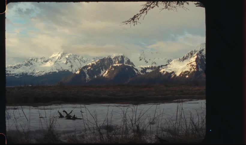 A frozen landscape with snowcapped mountains and bare branches