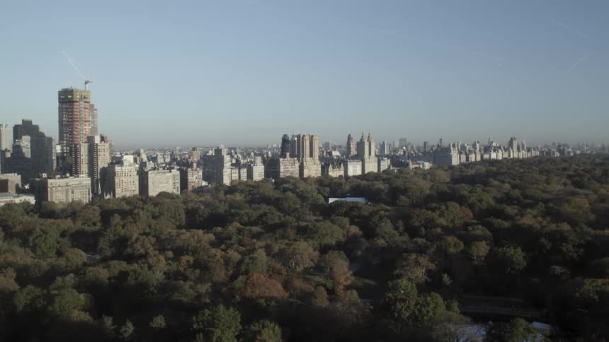 Aerial view of new york and central park