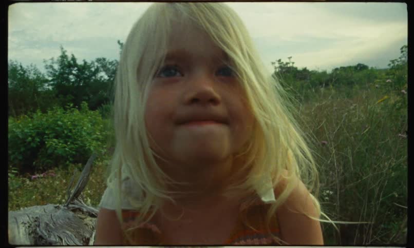 Portrait of a blonde toddler girl in the midst of a natural field