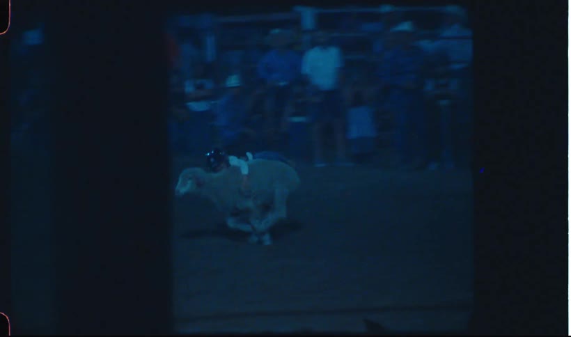 Kid rides sheep during rodeo event at night