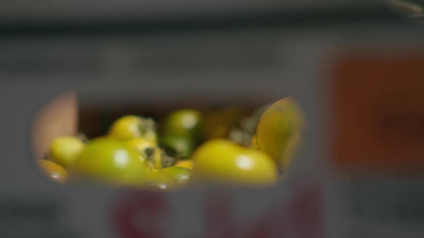 Fresh fruit being loaded into a cardboard box