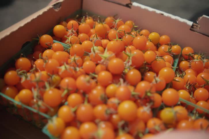 A person packs a box full of tomatoes