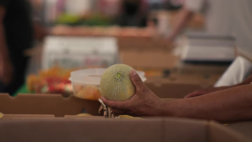 A person is picking cantaloupe at the market