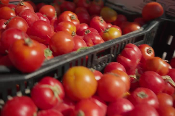 A closeup of fresh red tomatoes in the market