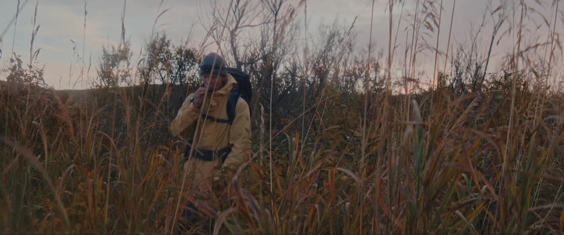 A man hikes through the tall reeds