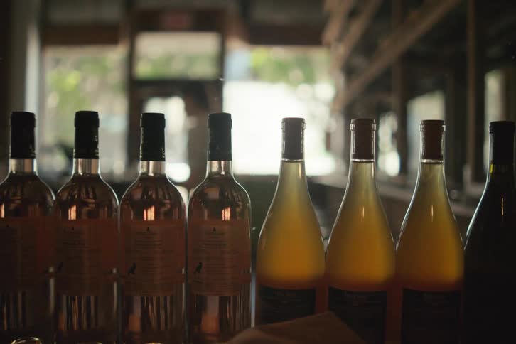 A row of wine bottles on a counter with soft lighting