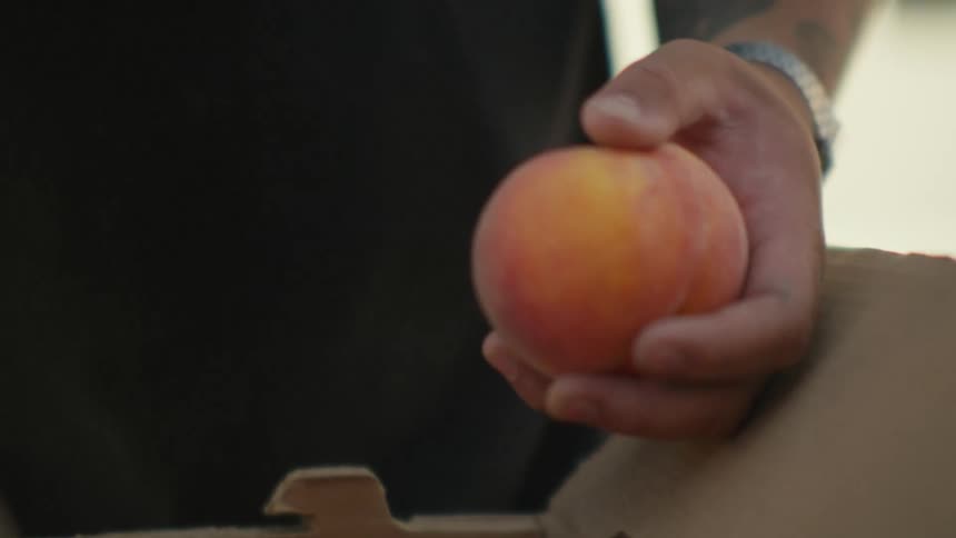 A man is picking peaches from a box