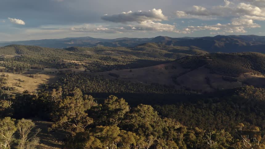 A landscape of mountains and forest of trees that reach the horizon