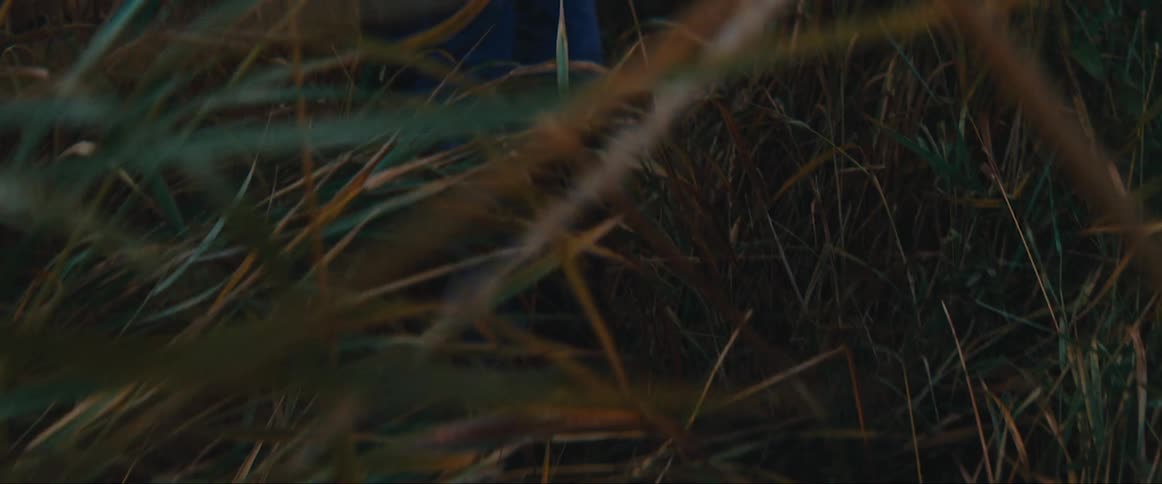Hiker carrying a backpack walking on a tall grass field