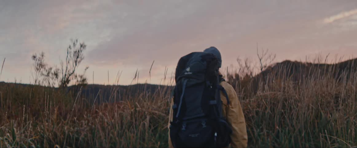 A man hikes through the reeds