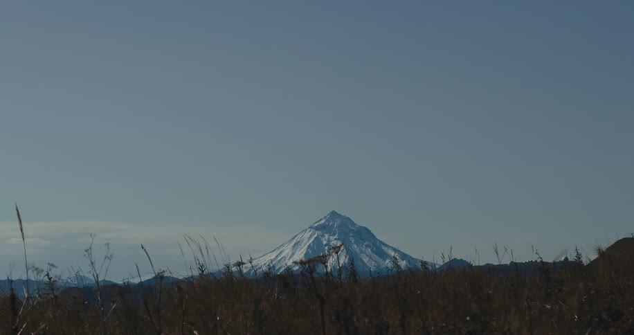Scenic landscape with a snowcapped mountain and dry grasses in the foreground