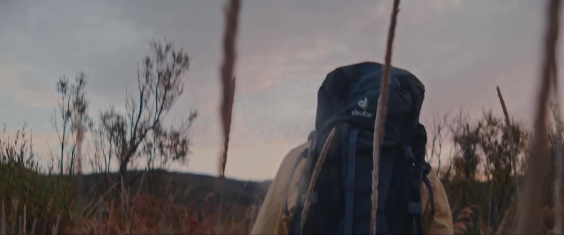 A hiker with a large backpack walks through a grassy field