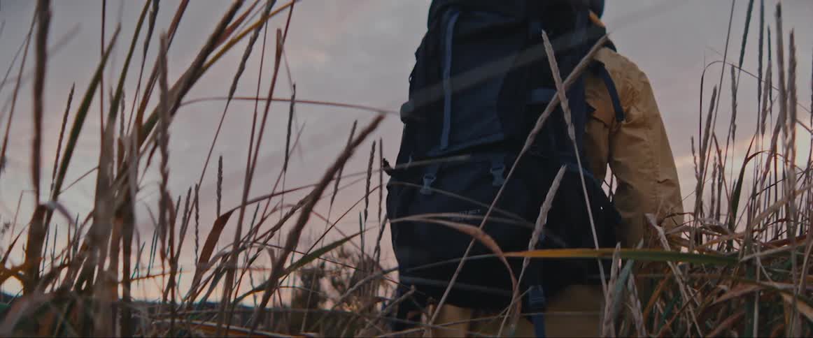 A person walking in a meadow with a large backpack on their back