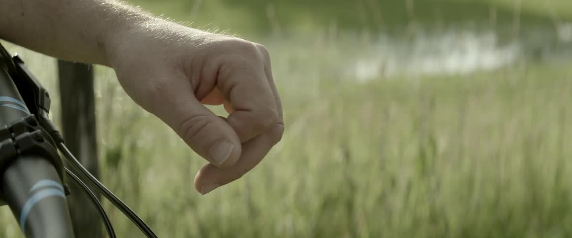 A man's hand and tall grass