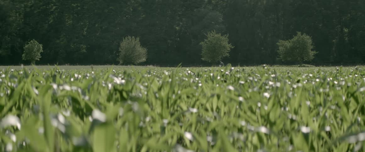Bicyclist seen in the distance riding past a green field