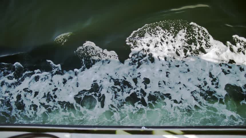 A clip of the sea wave