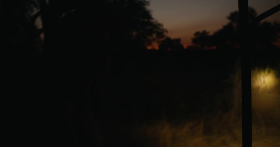 A person traveling on a vehicle flashing a light into the trees