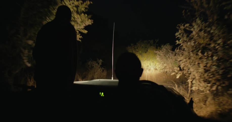 A person driving a vehicle through the forest at night
