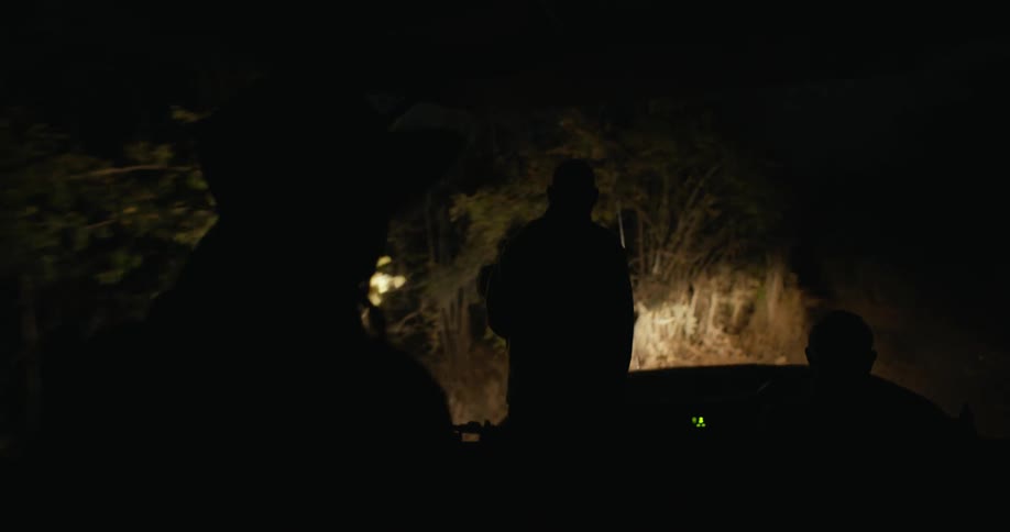 Silhouette of people on a pickup truck through the african savanna