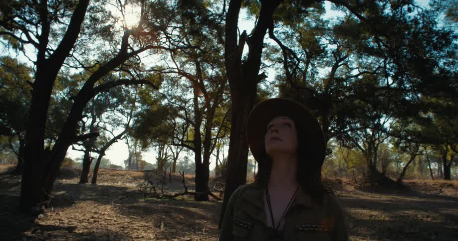 Woman stands in woods looking around as sun glares through the trees