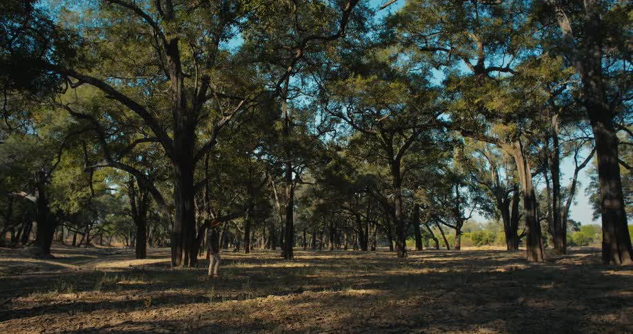 A clip of a woman walking in the woods